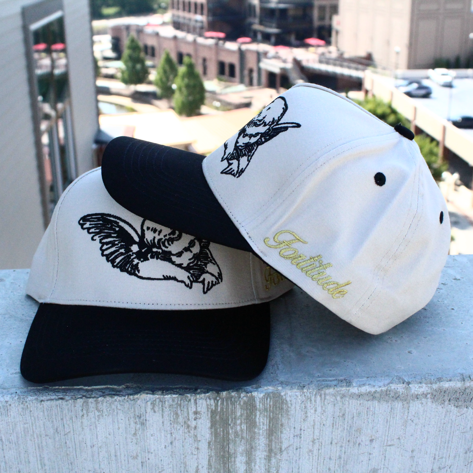 Angel SnapBack