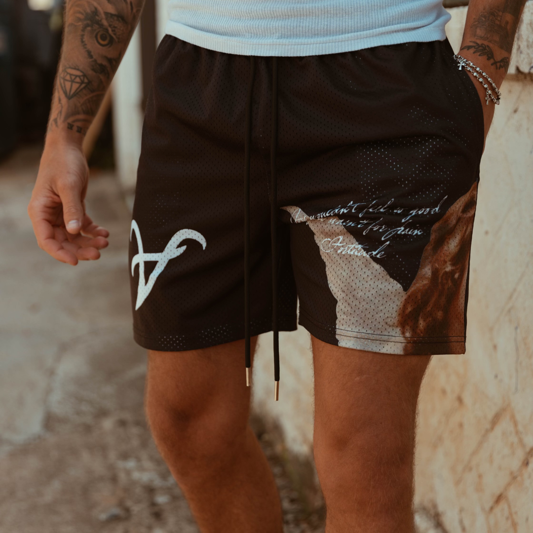 Mesh Shorts V2