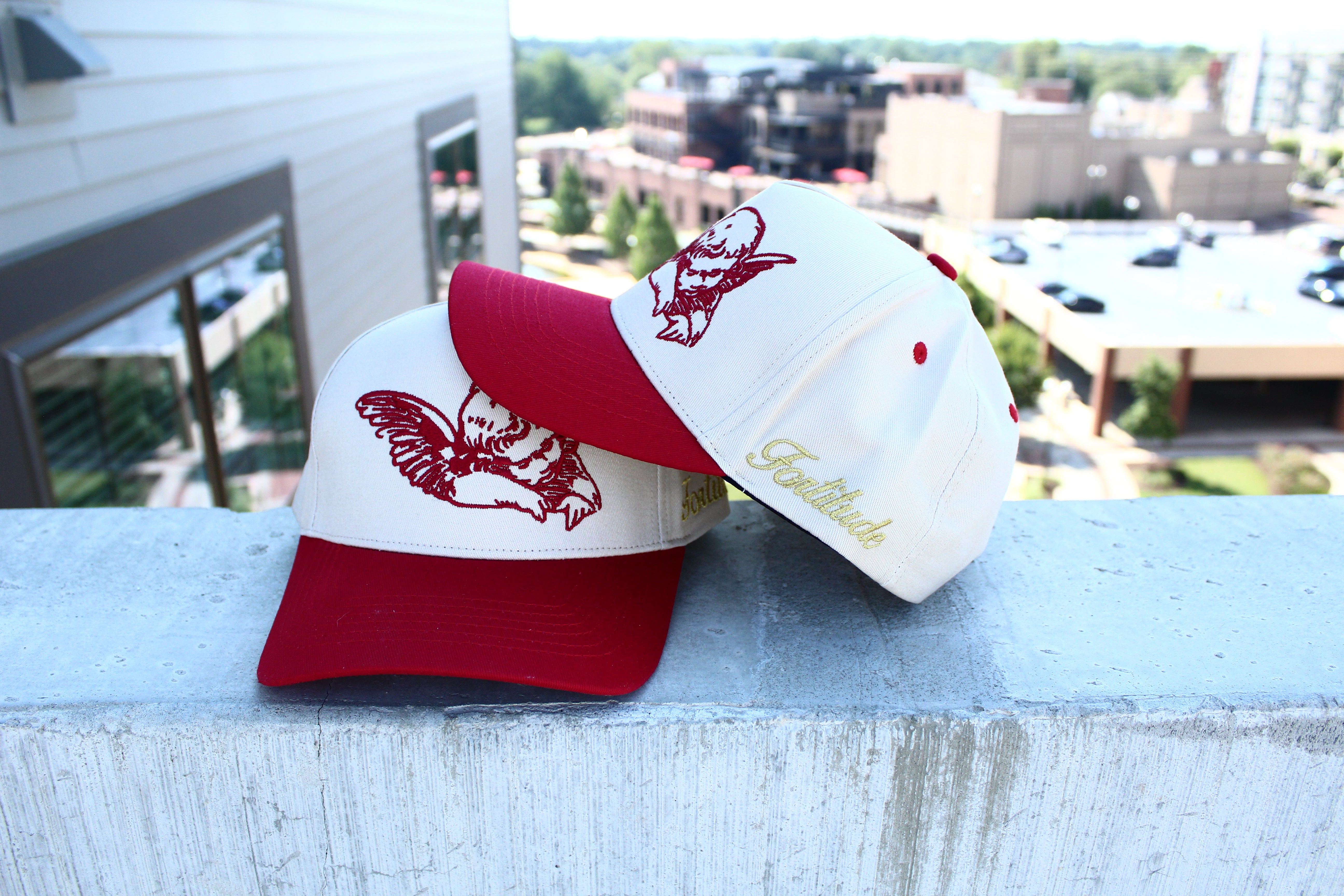 Angel SnapBack